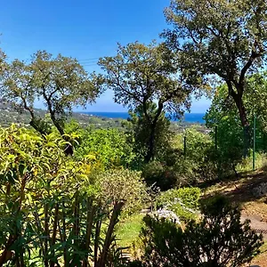 Les Restanques Vue 5 Pers Glycine 2067 Grimaud